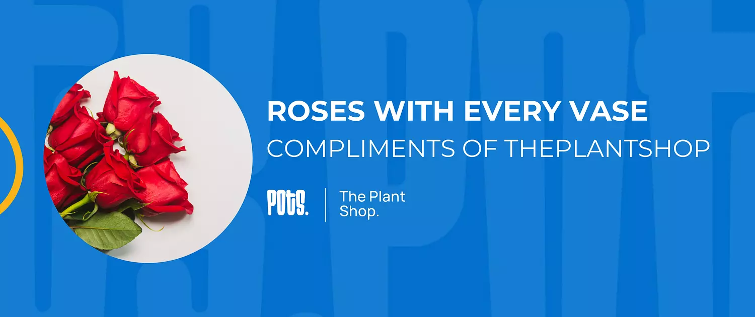 banner image for POTS