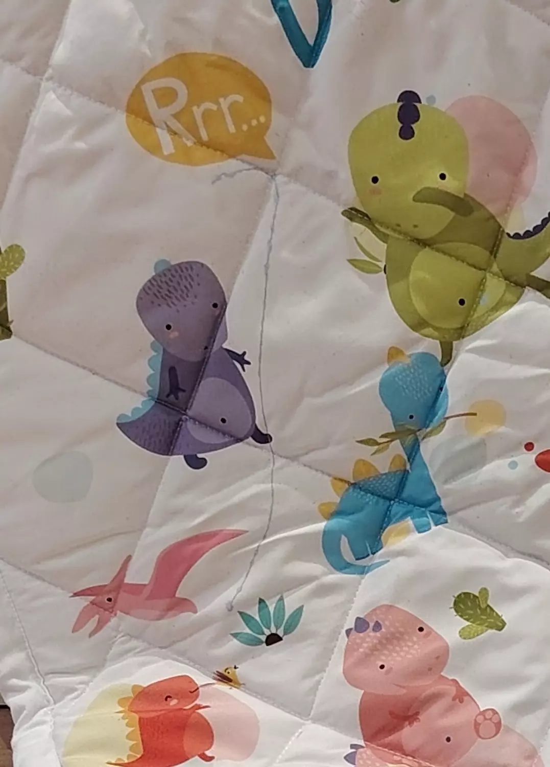 Dinosaur Baby blankie 1