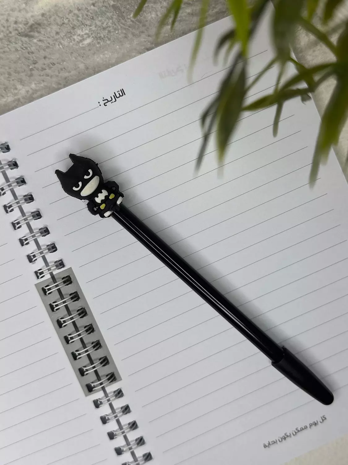 قلم رصاص اولاد  4