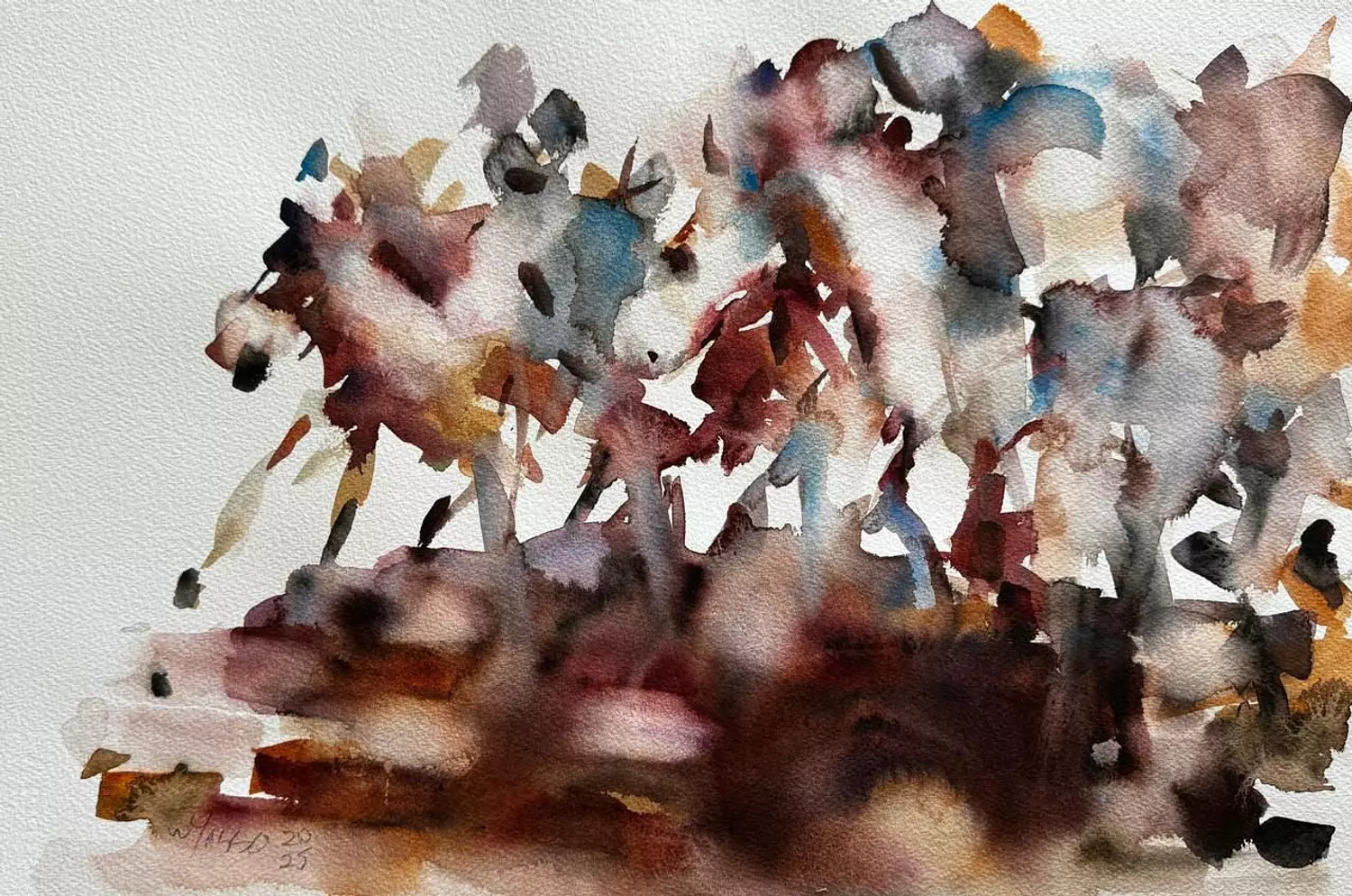 597 Wagih Yassa image