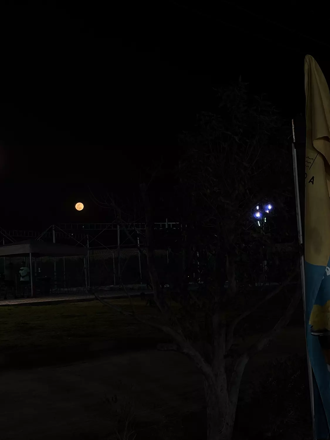  Sweatpants Oudies Puff Print (Heather Grey) 6