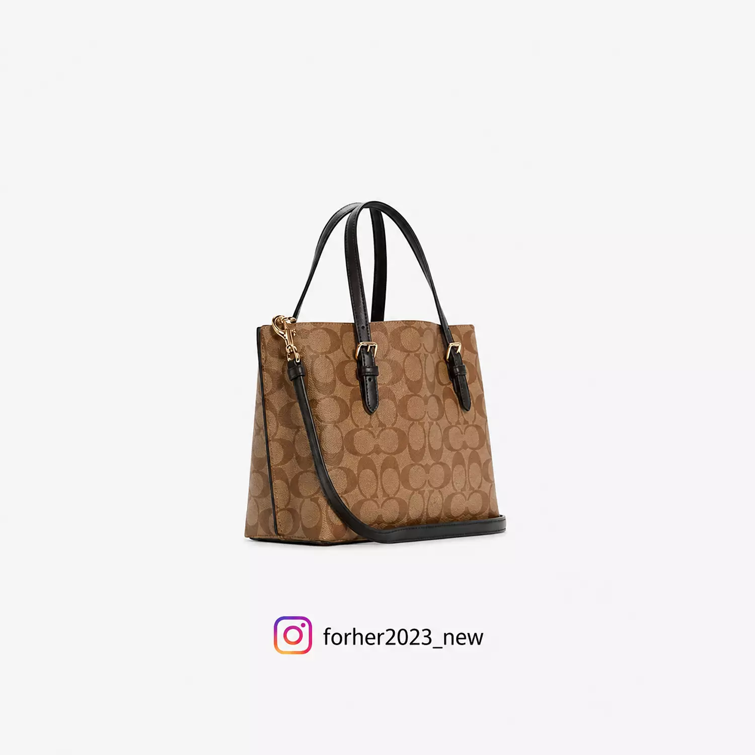 Coach Mollie Tote Bag In Signature Canvas 1