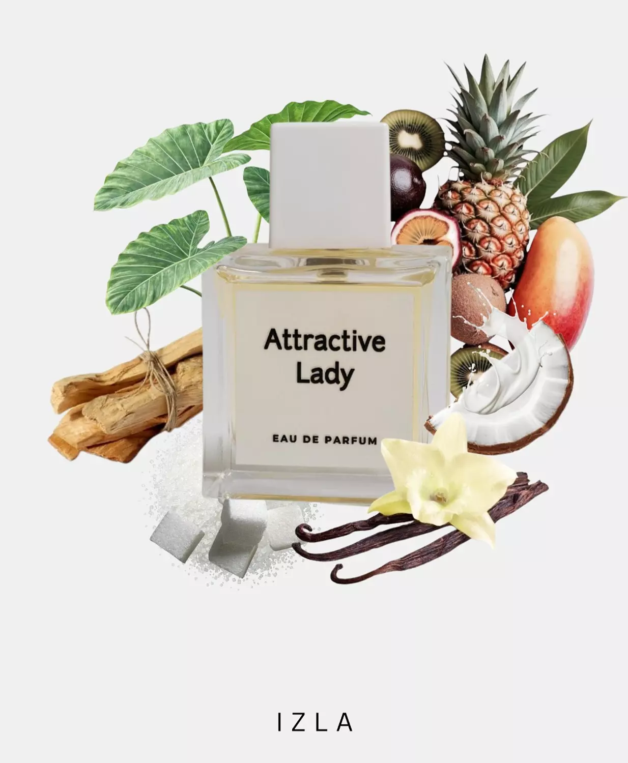 Attractive Lady perfume 