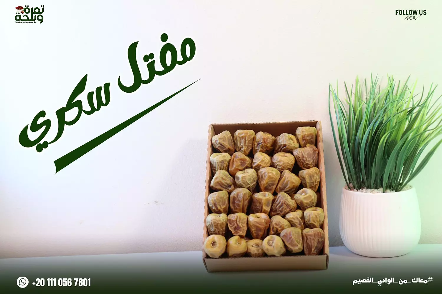 مفتل سكرى  image