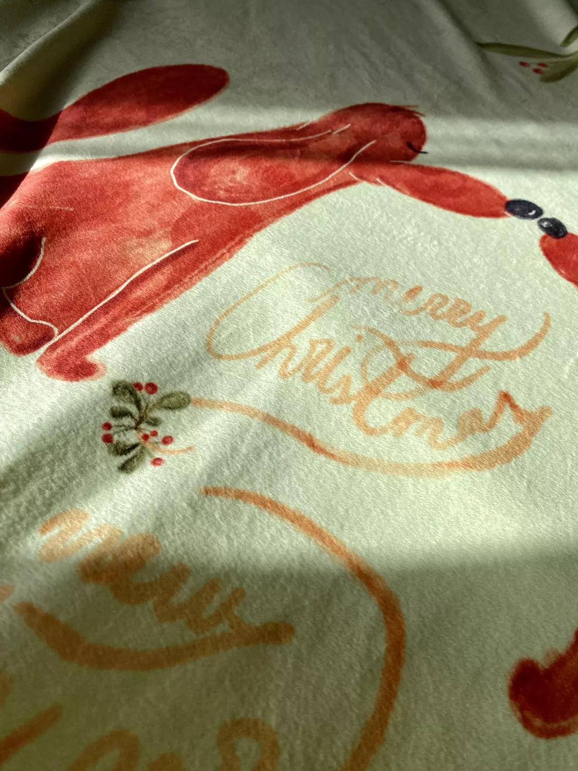 Cozy Christmas Blanket 7