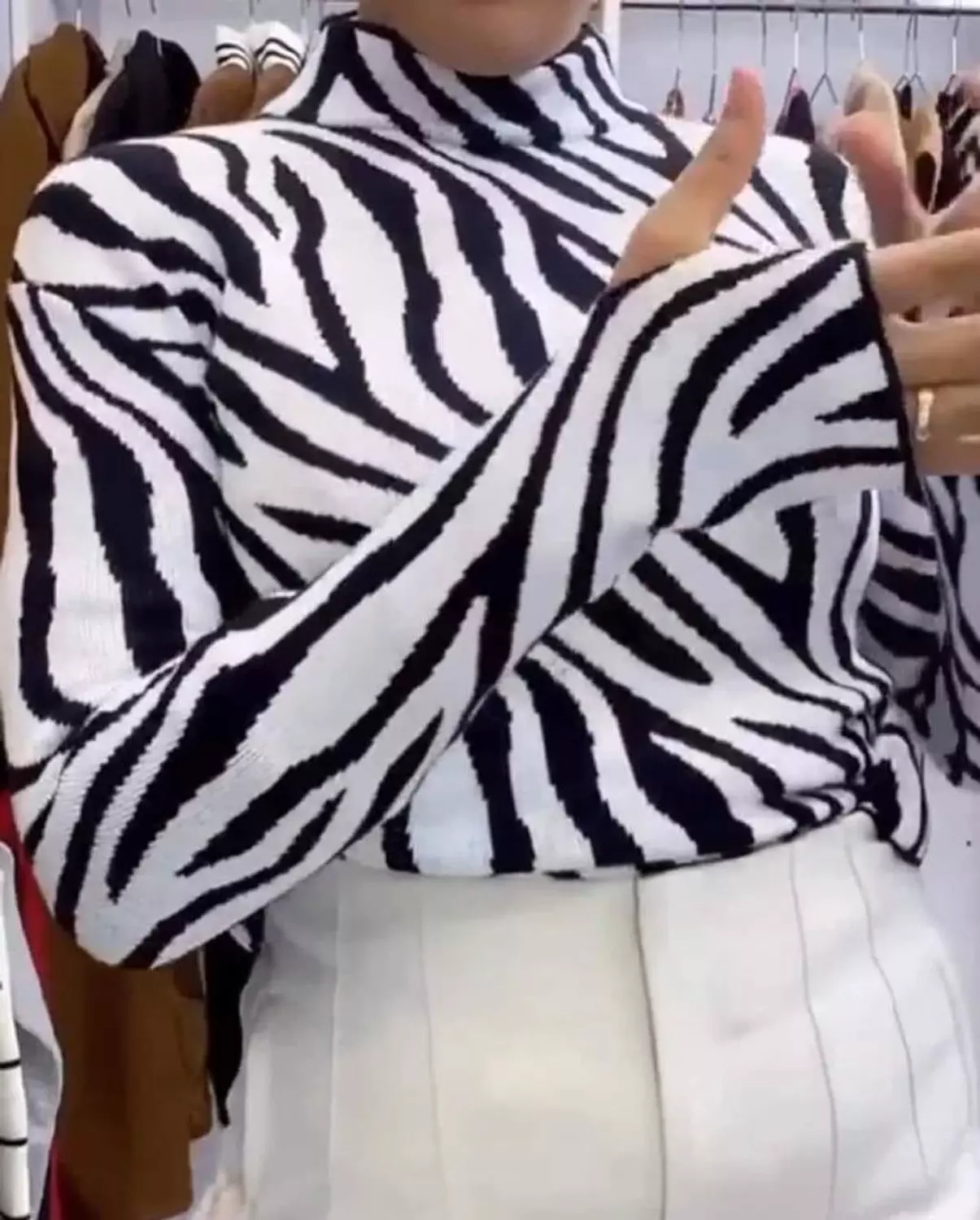 Zebra top image
