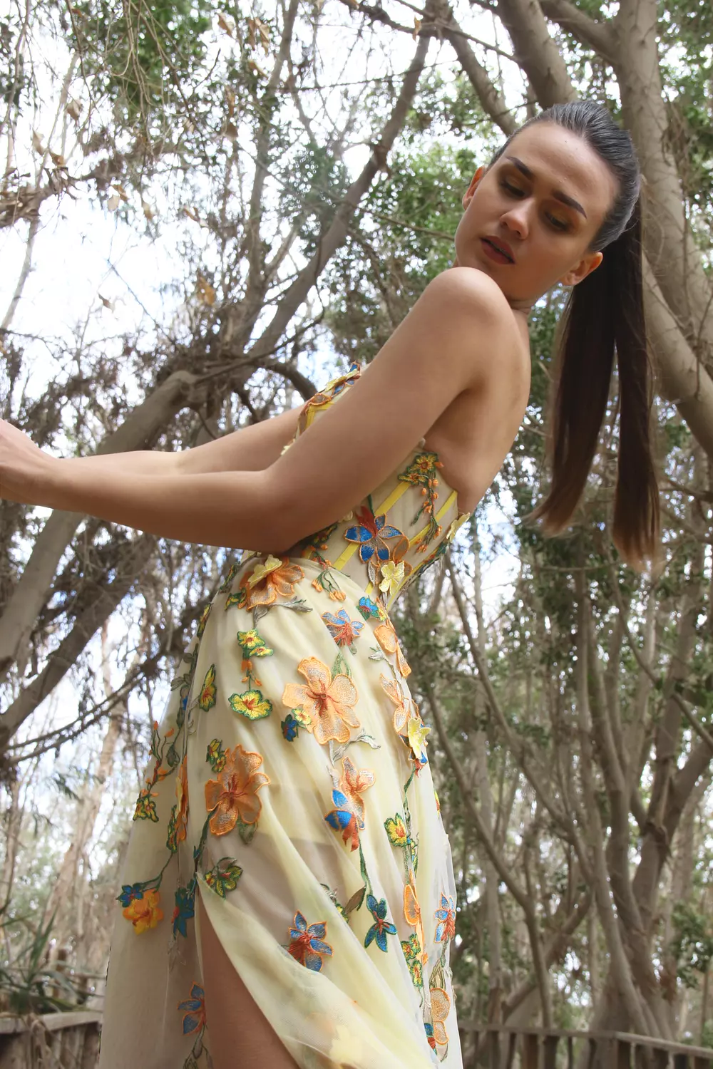 Colorful Garden 1