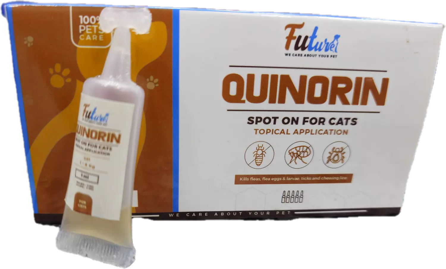 Quinorine amp  image