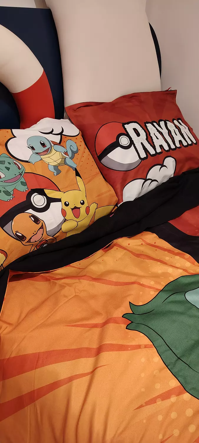 Pokemon Blanket  2
