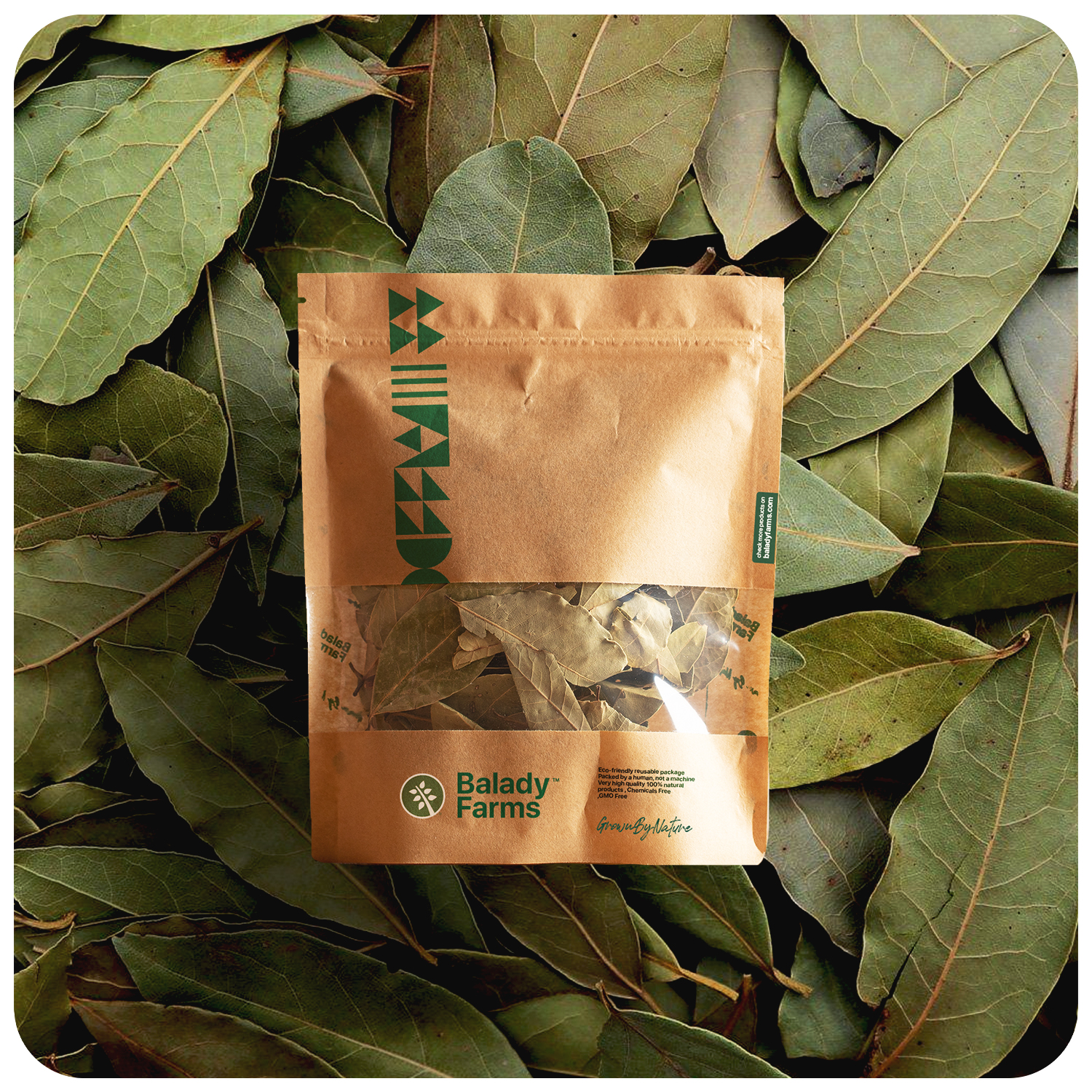 Bay Leaves (40 gm)