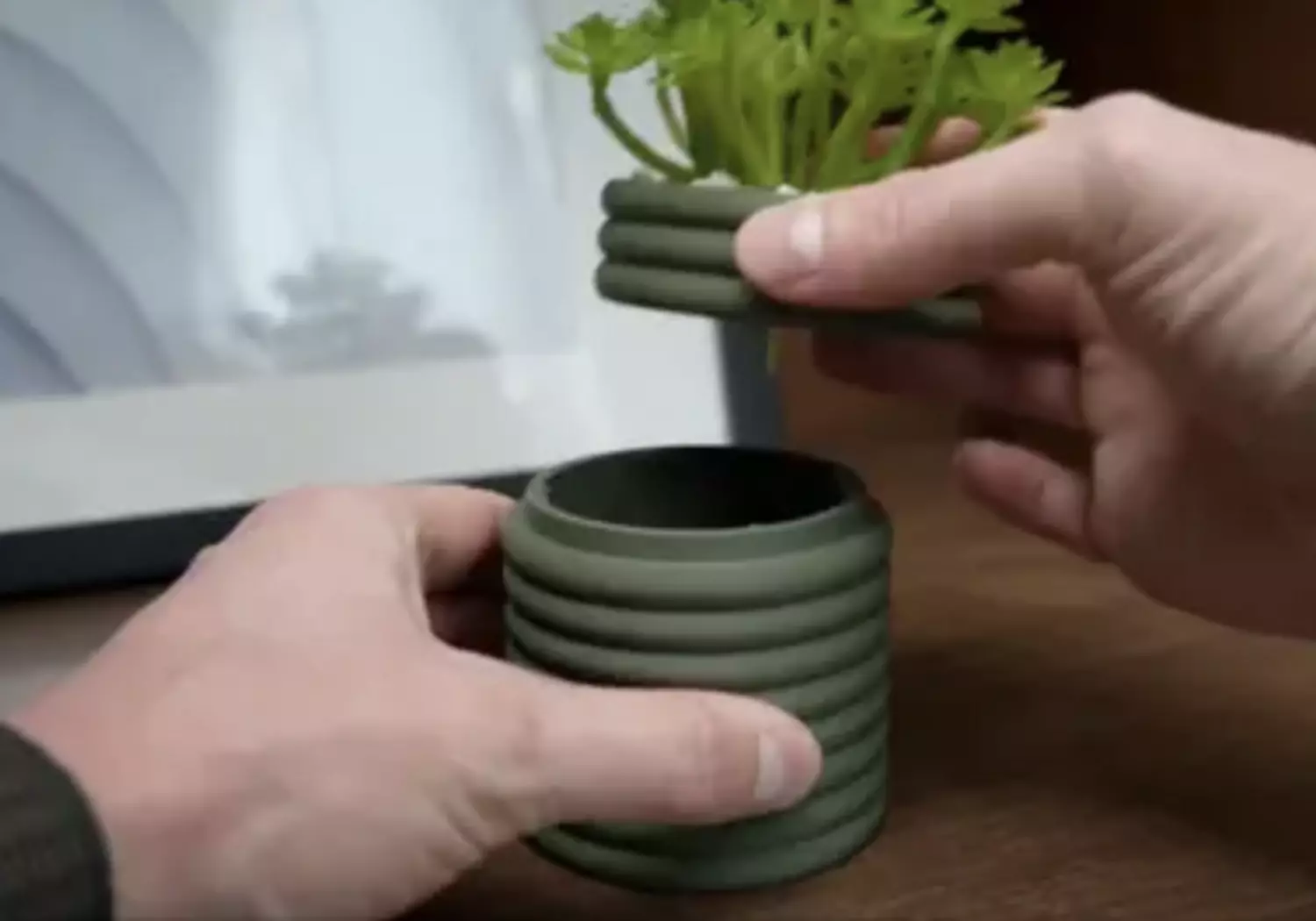 Secret Stash Planter - The Poppy hover image