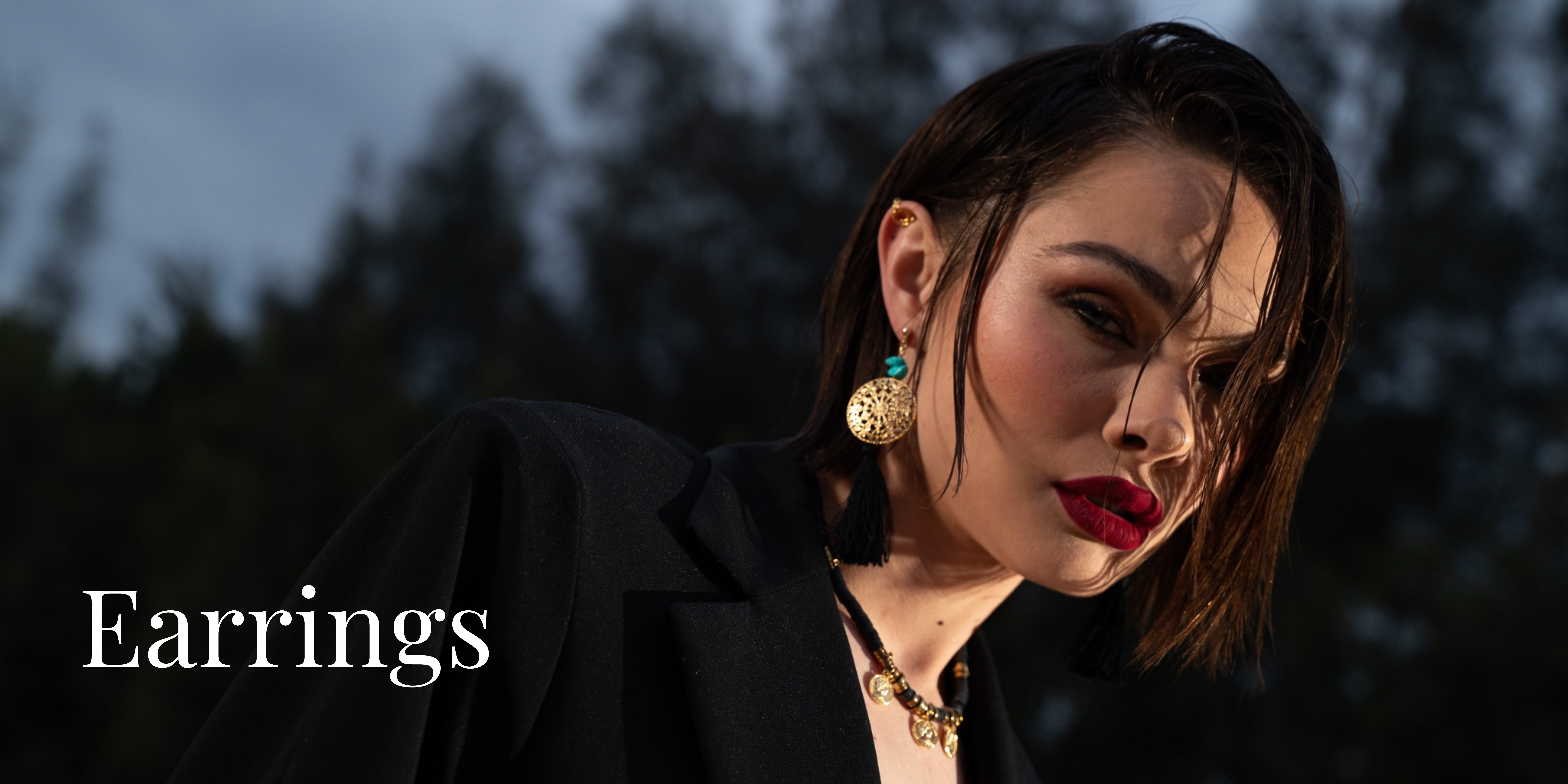 Earrings Img