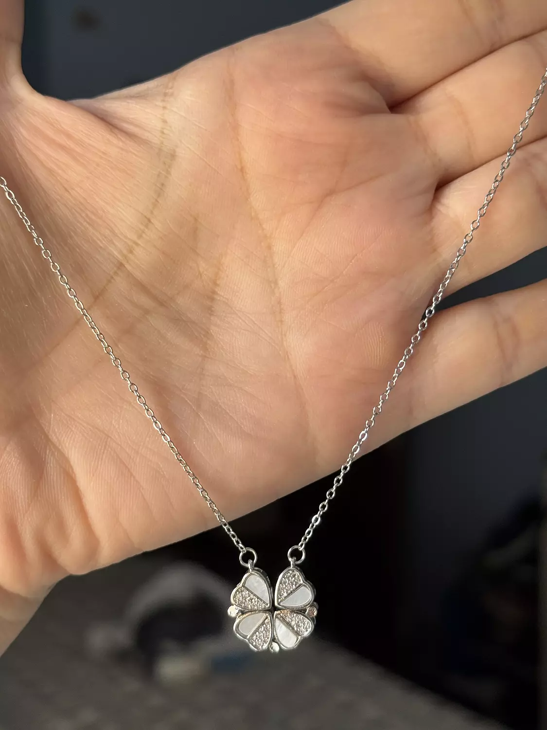 Stainless Steel Silver Necklace ( Stock ) 5