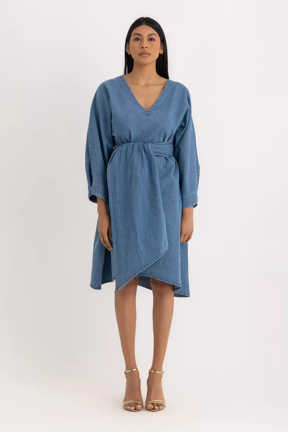 The Denim Aline Relaxed Dress image