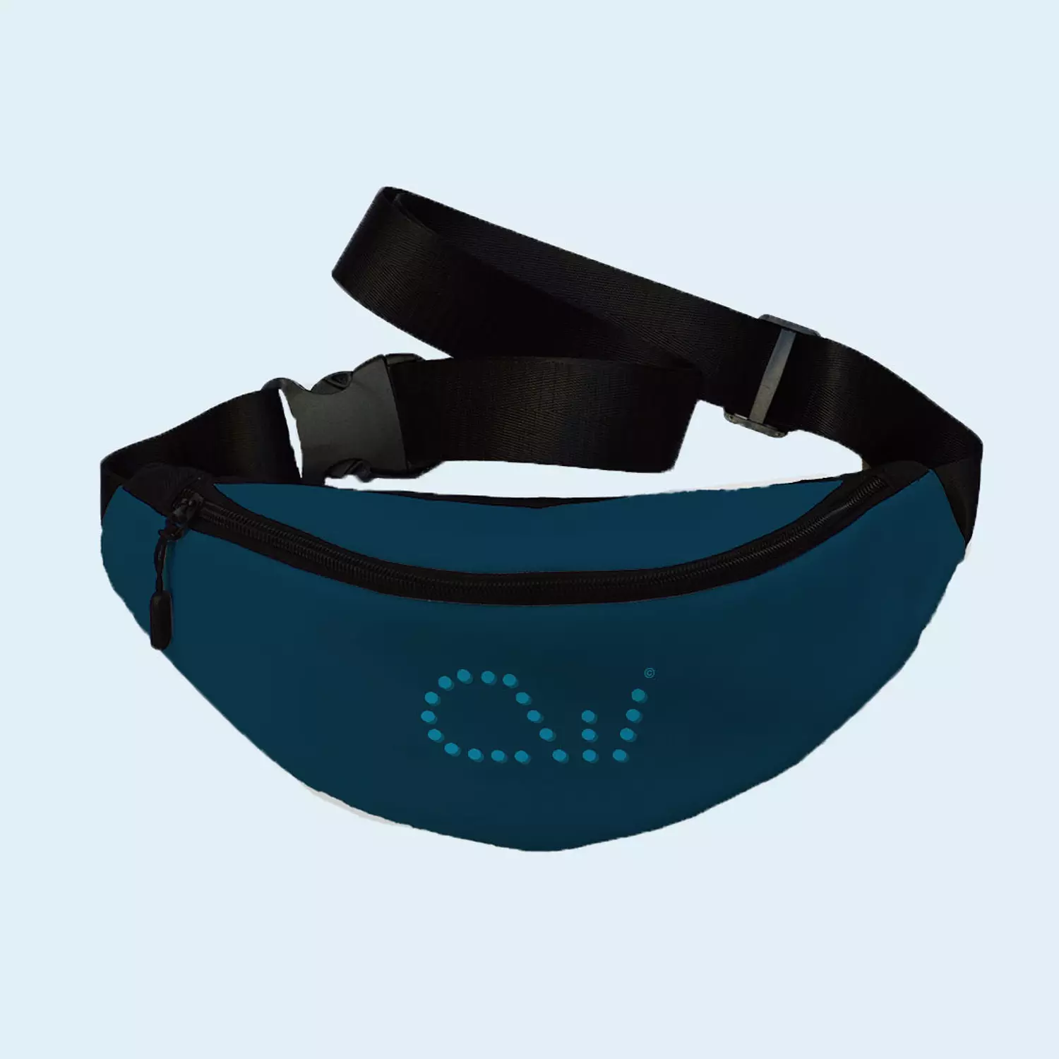 CW Petrol Fanny Pack  image