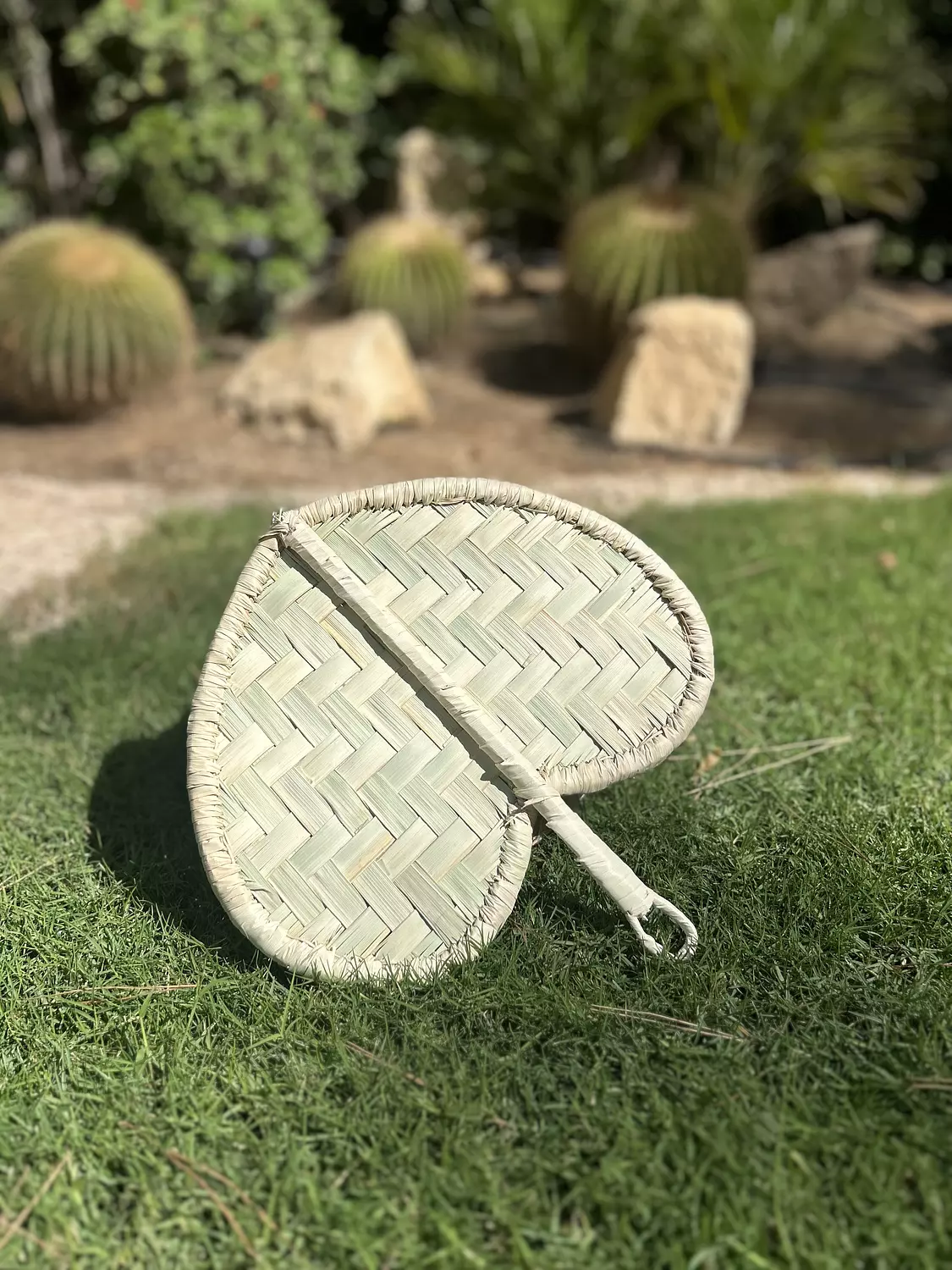 Boho Palm Fan  hover image
