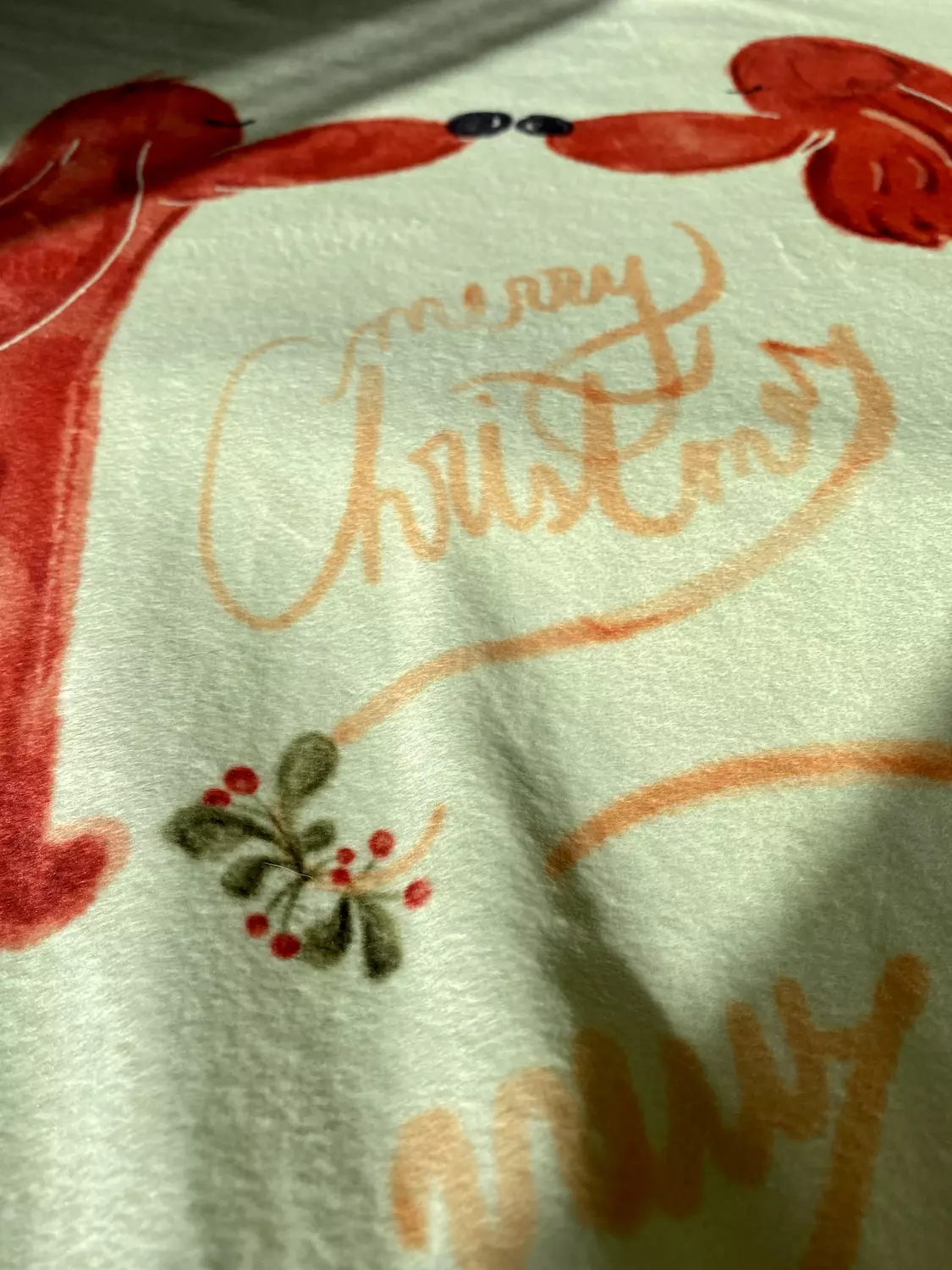 Cozy Christmas Blanket 4