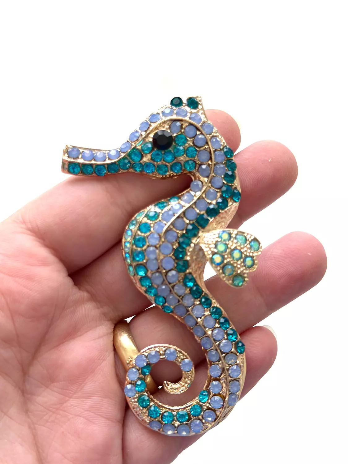 Sea horse B image