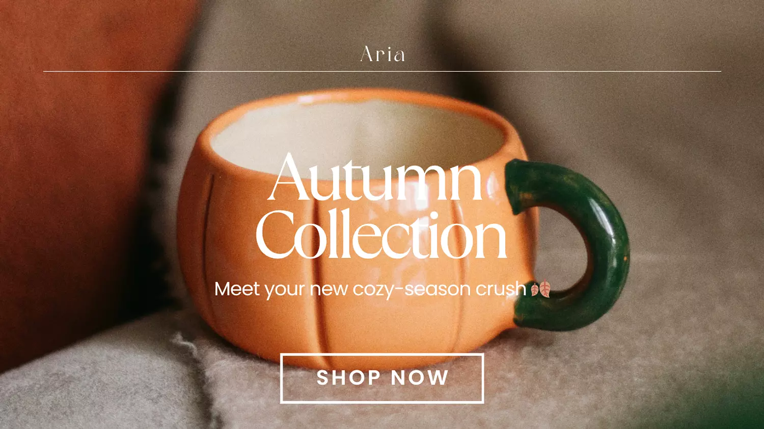 banner image for Aria