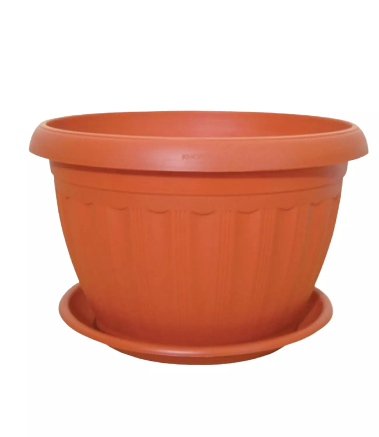 Afra Plant 2