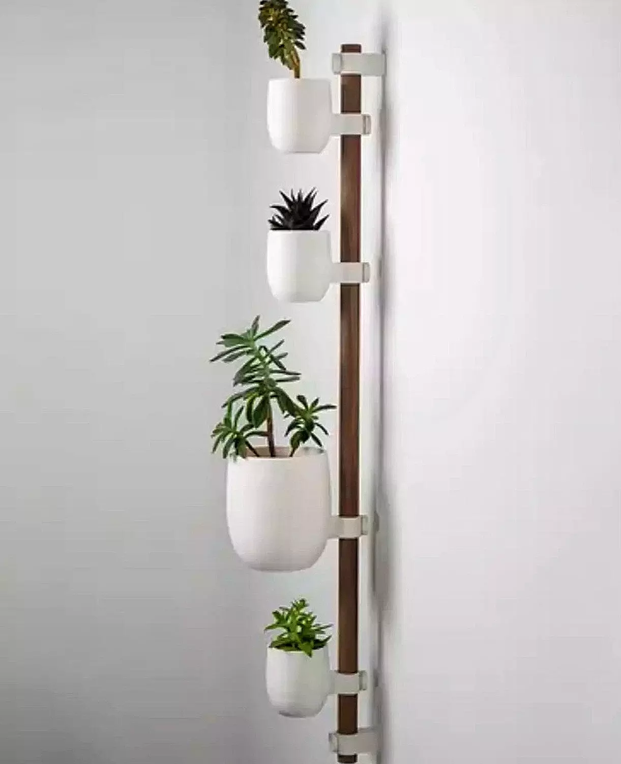 The Rail by Pots image