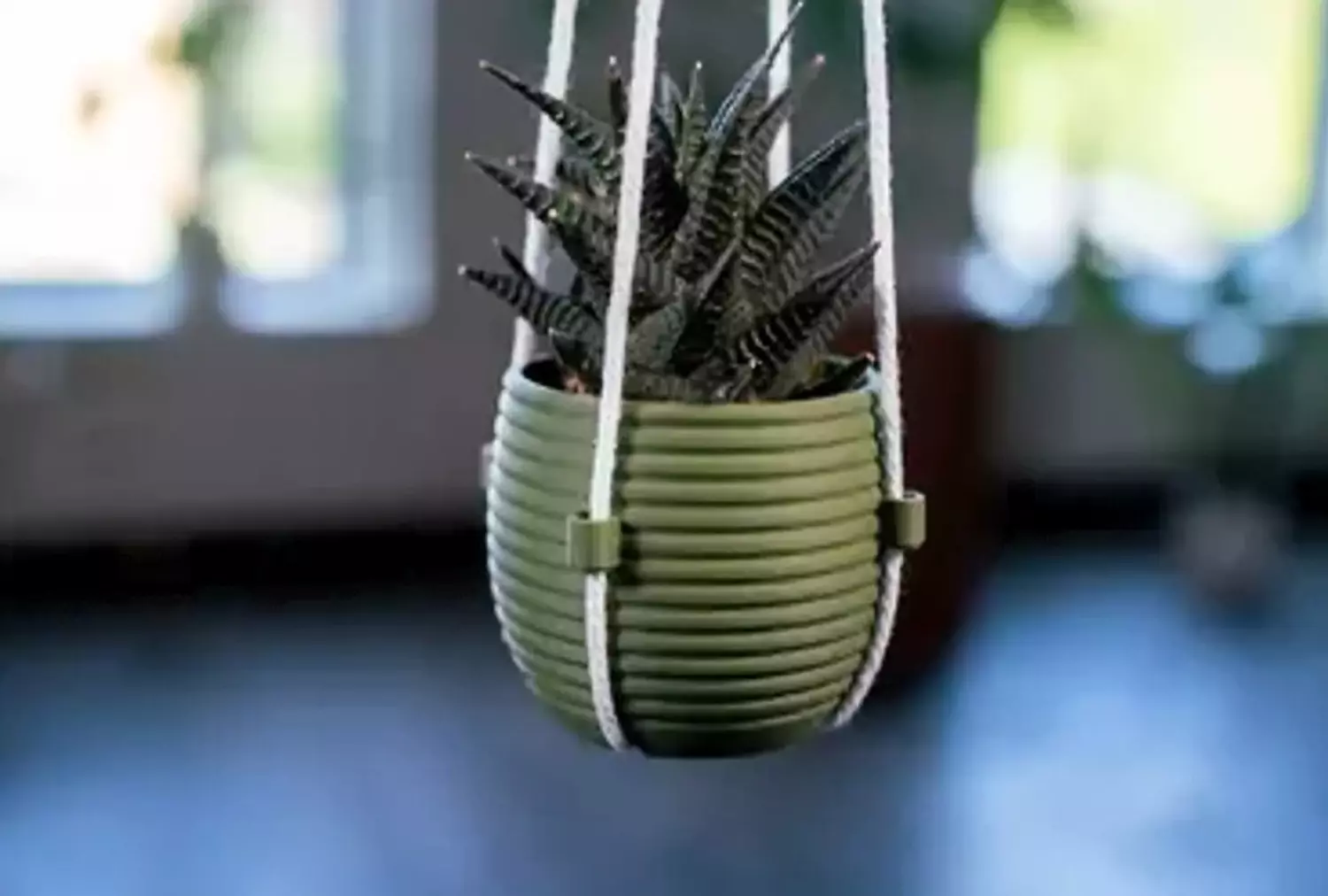 The Hive By Pots  hover image