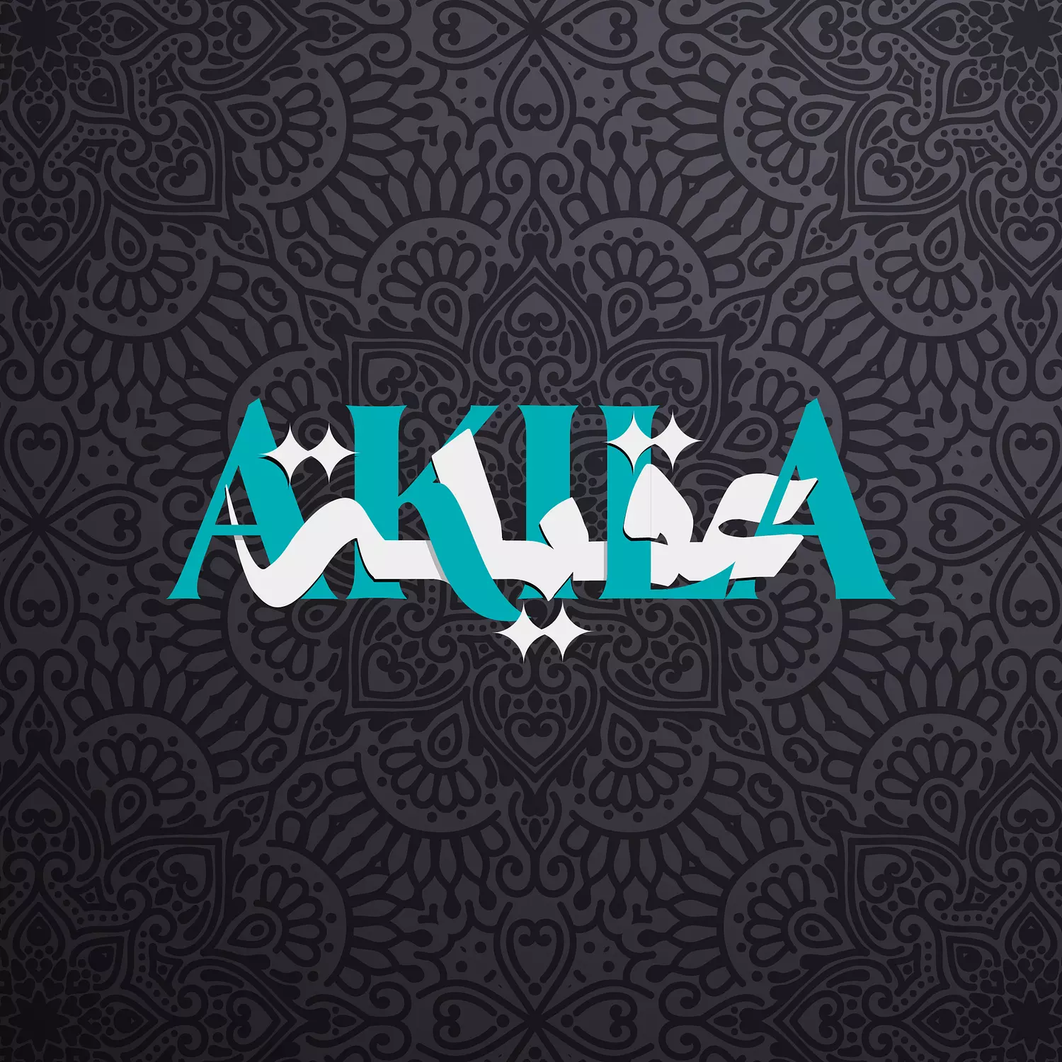 banner image for Akila store