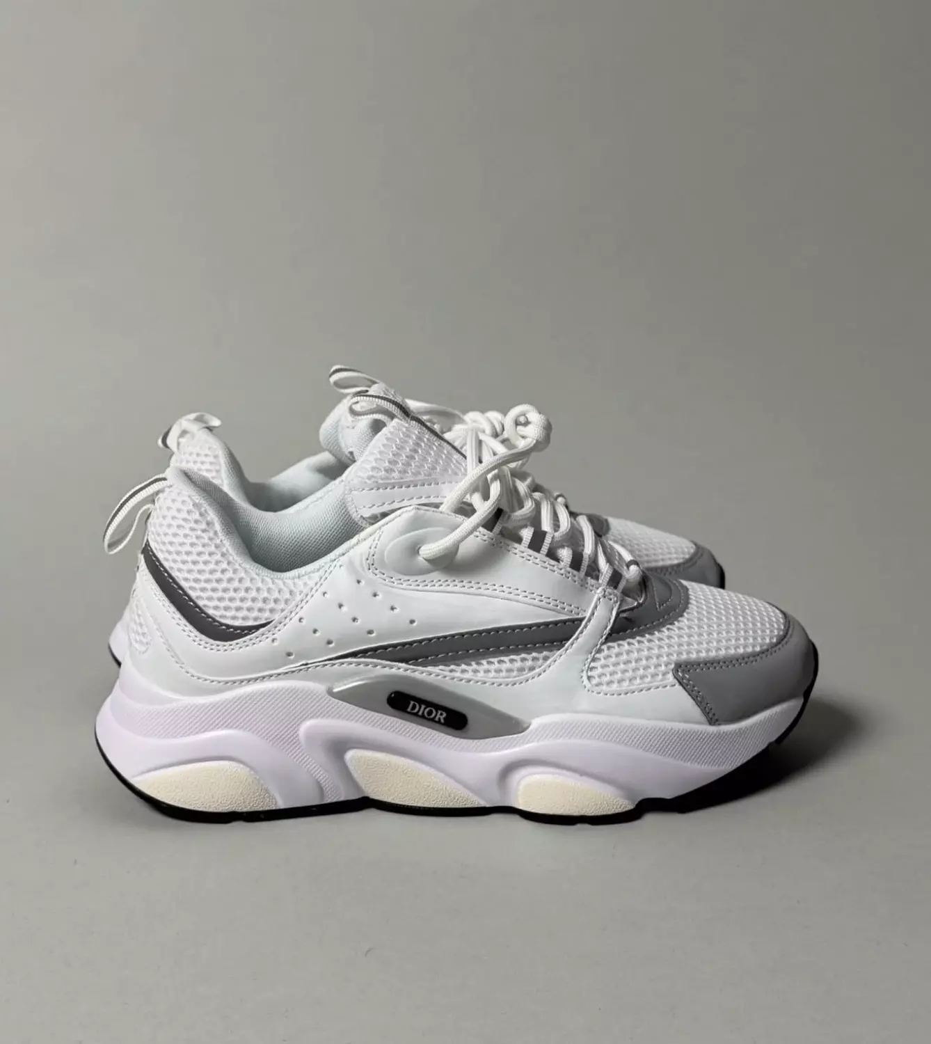 Dior B22 White Grey Reflective  1