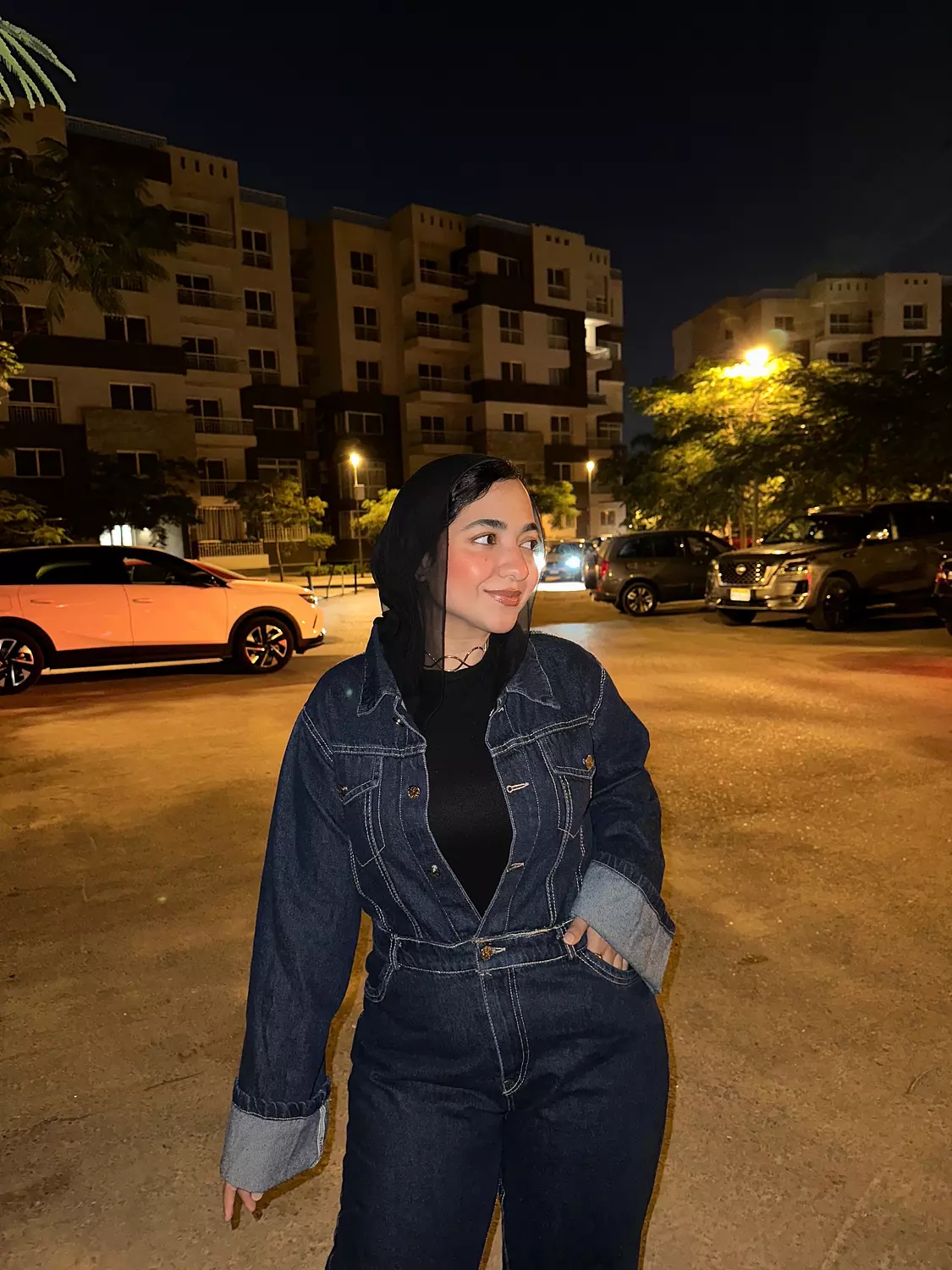 Denim Jumpsuit image
