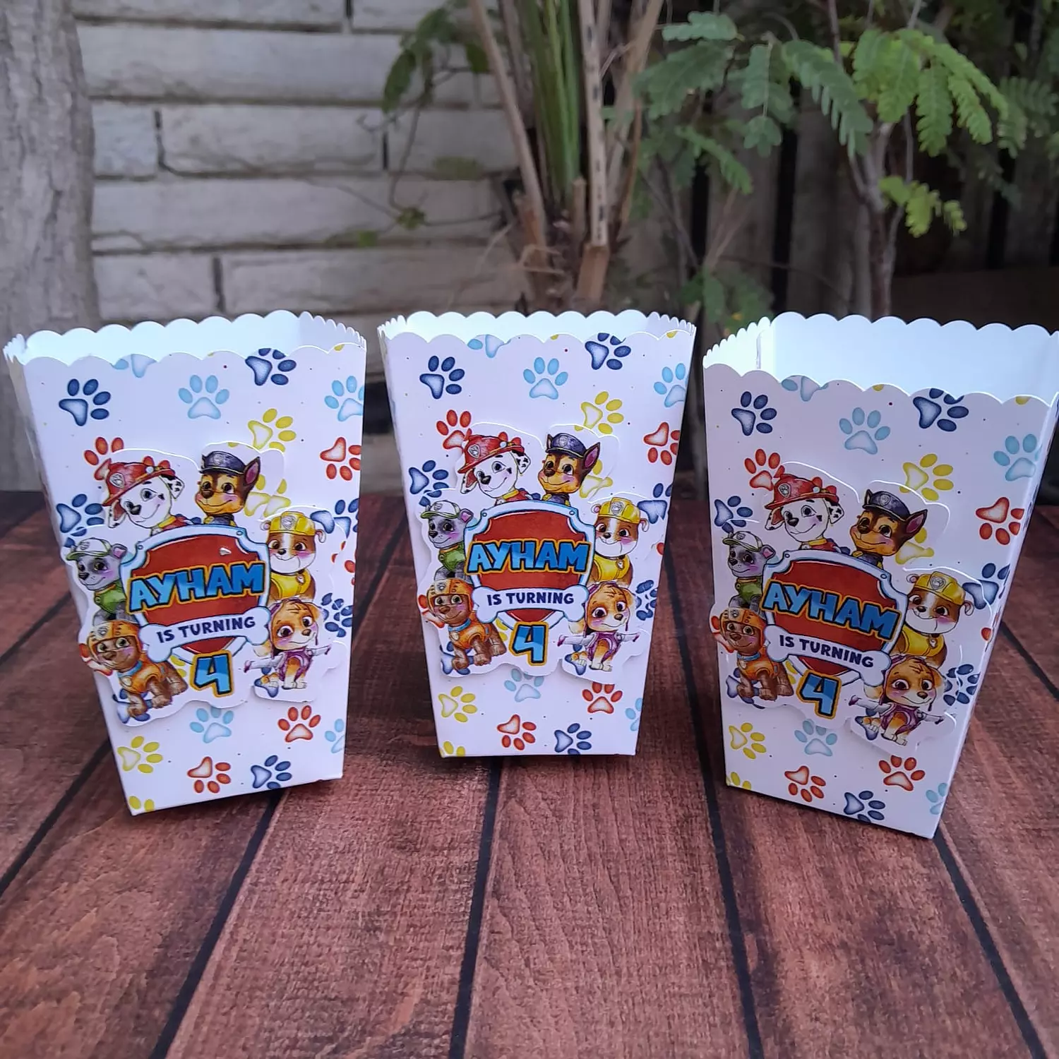 Paw Patrol 3 Popcorn Boxes  1