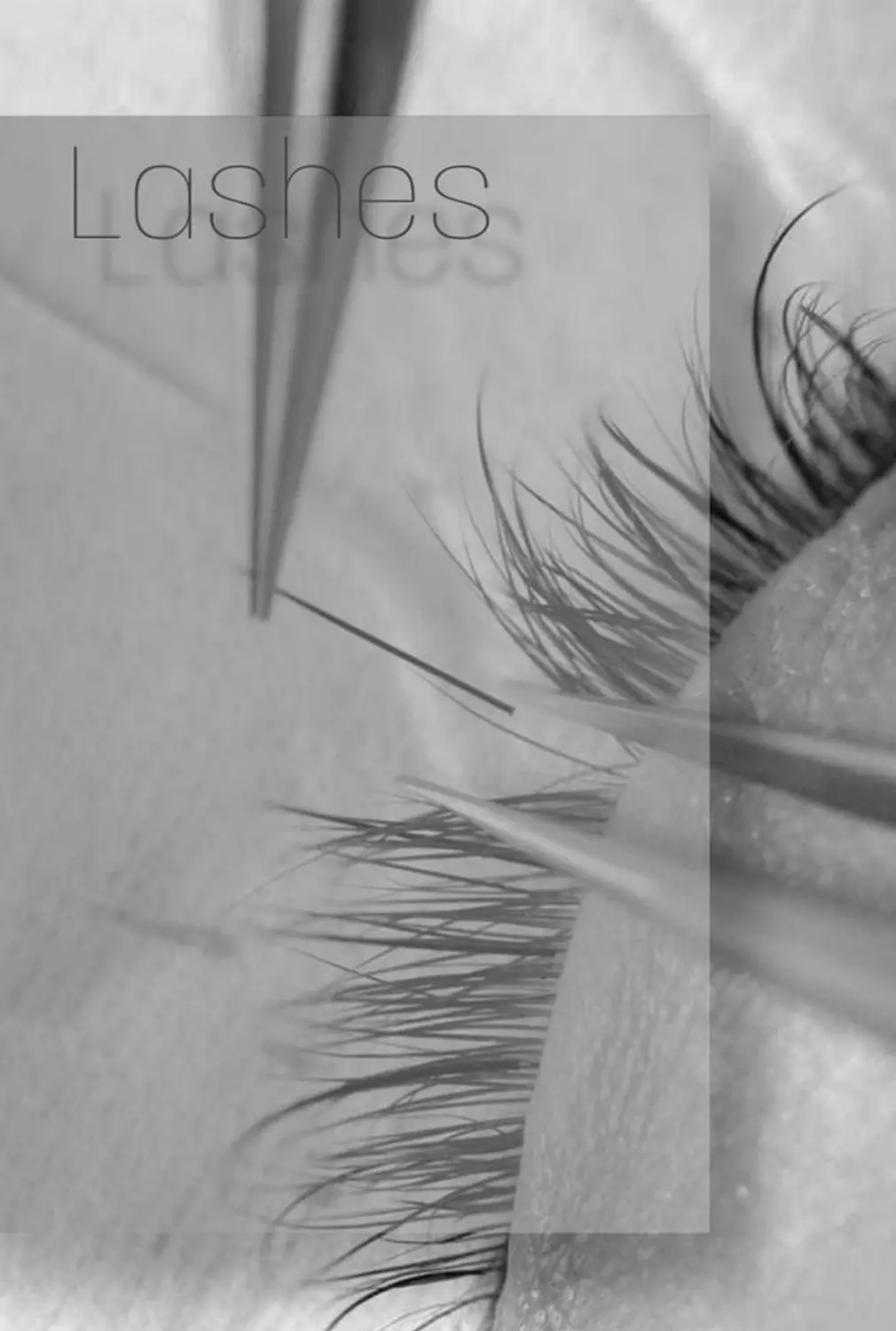 <h3 style="text-align: center">Lashes</h3>