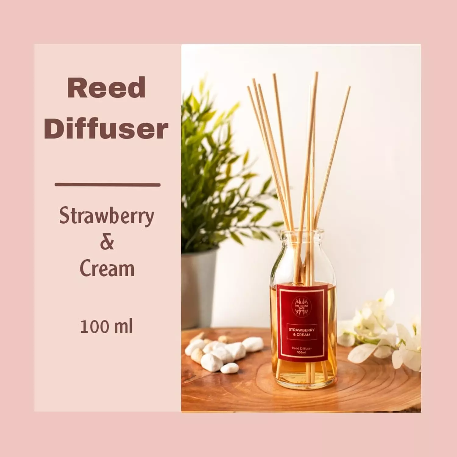 Strawberry & cream scent   image