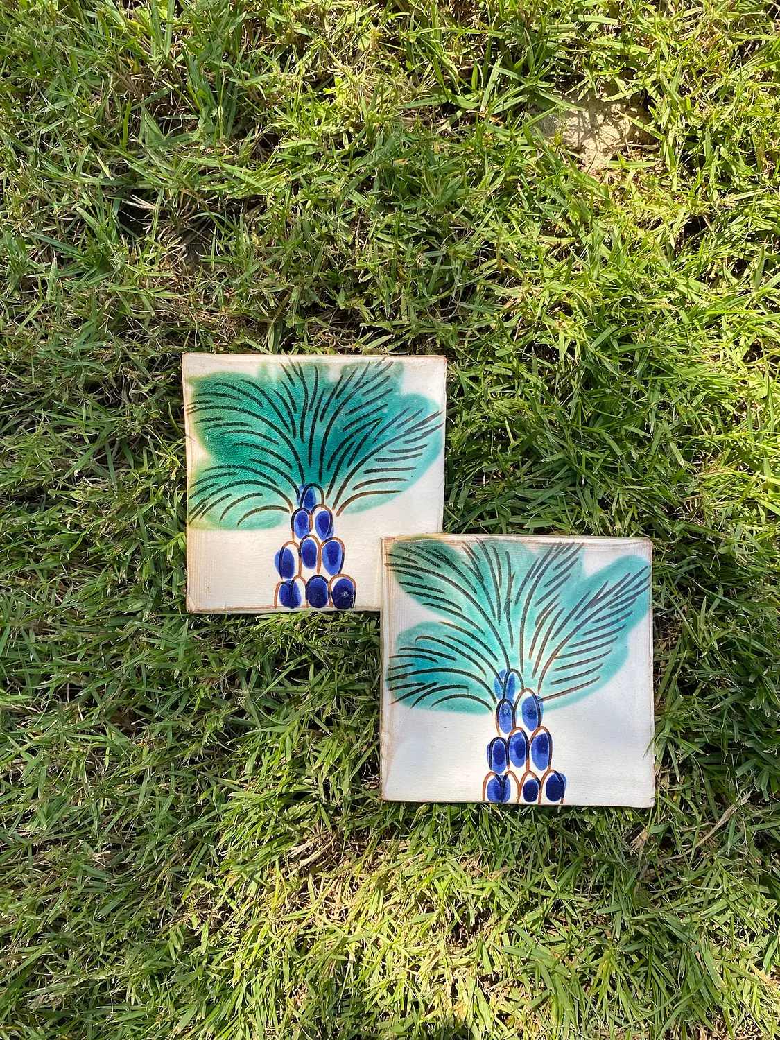 Palm Coasters image