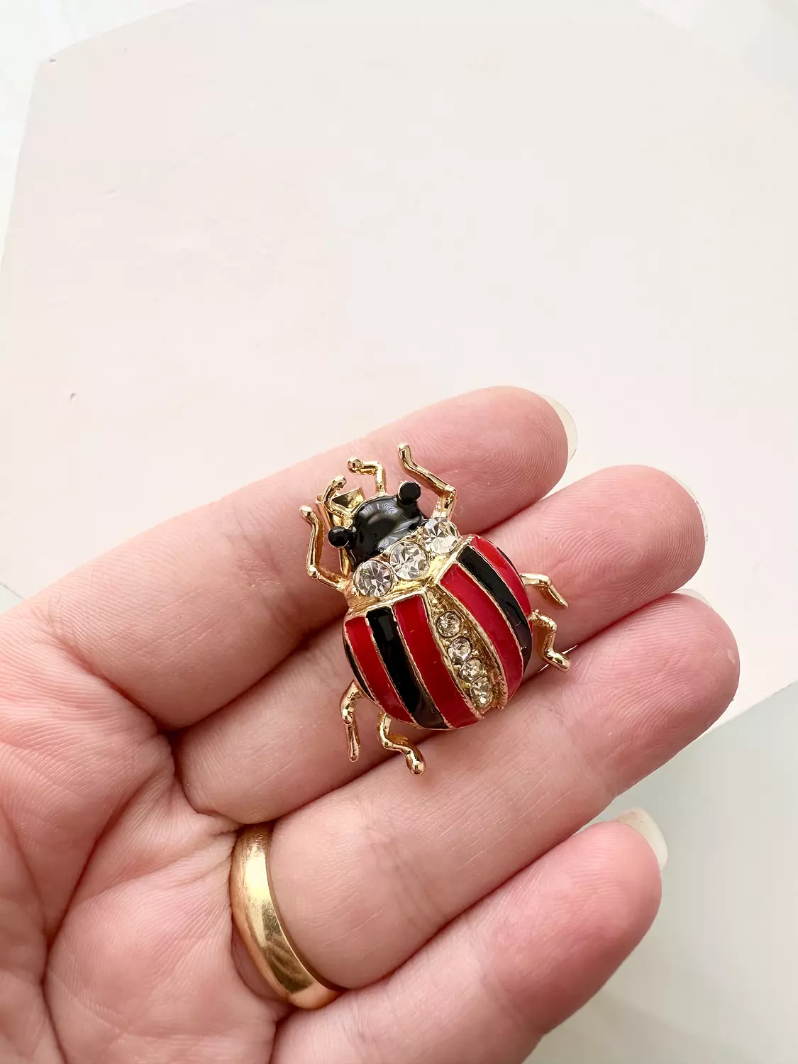 Bug 2 image