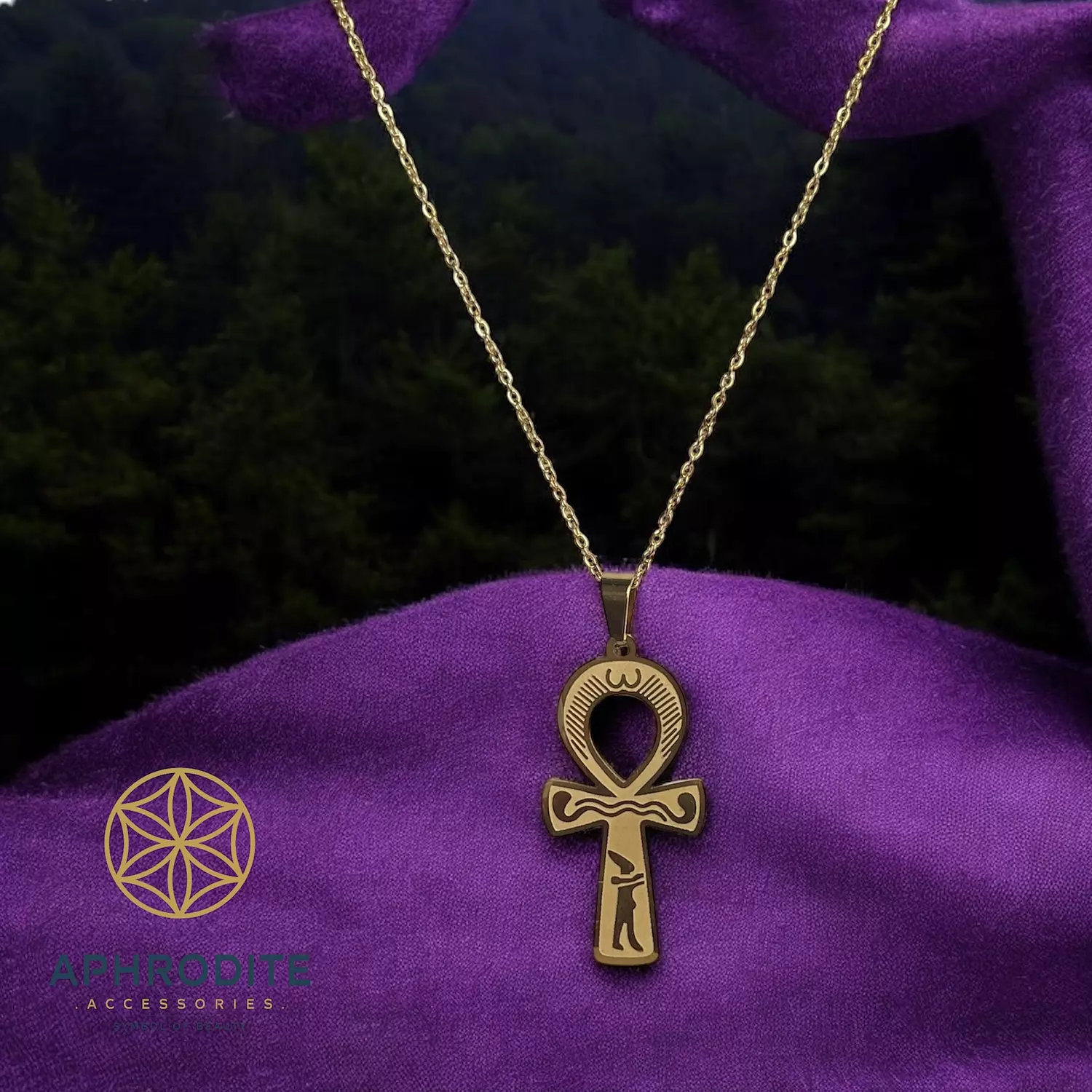 Key of life  image