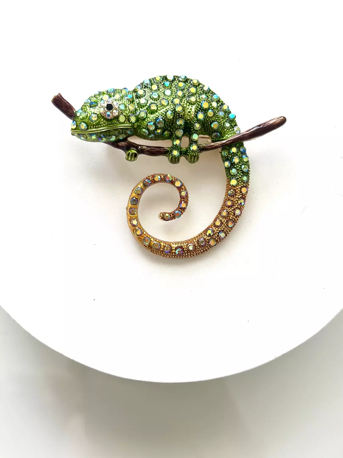 chameleon image