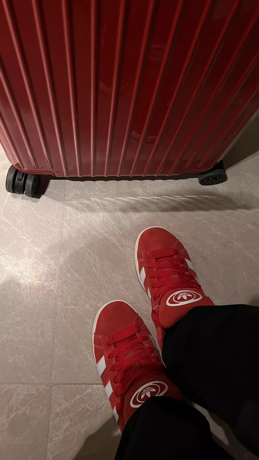 Campus 00s 'Scarlet Gum' 7