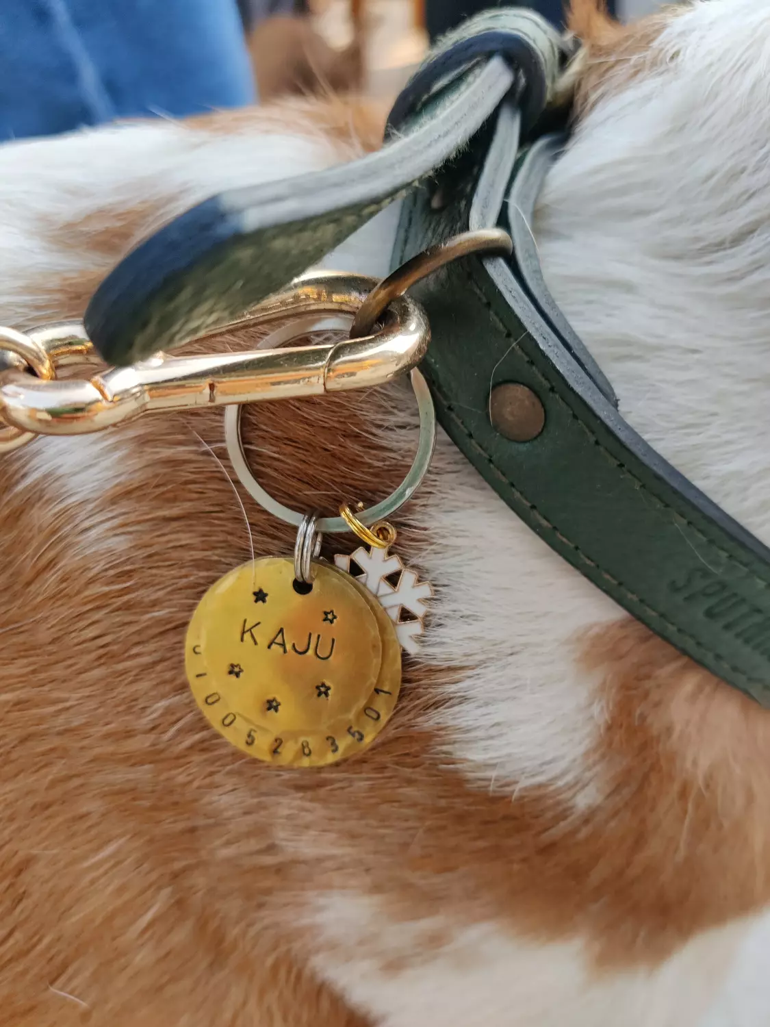 Double Tag 2