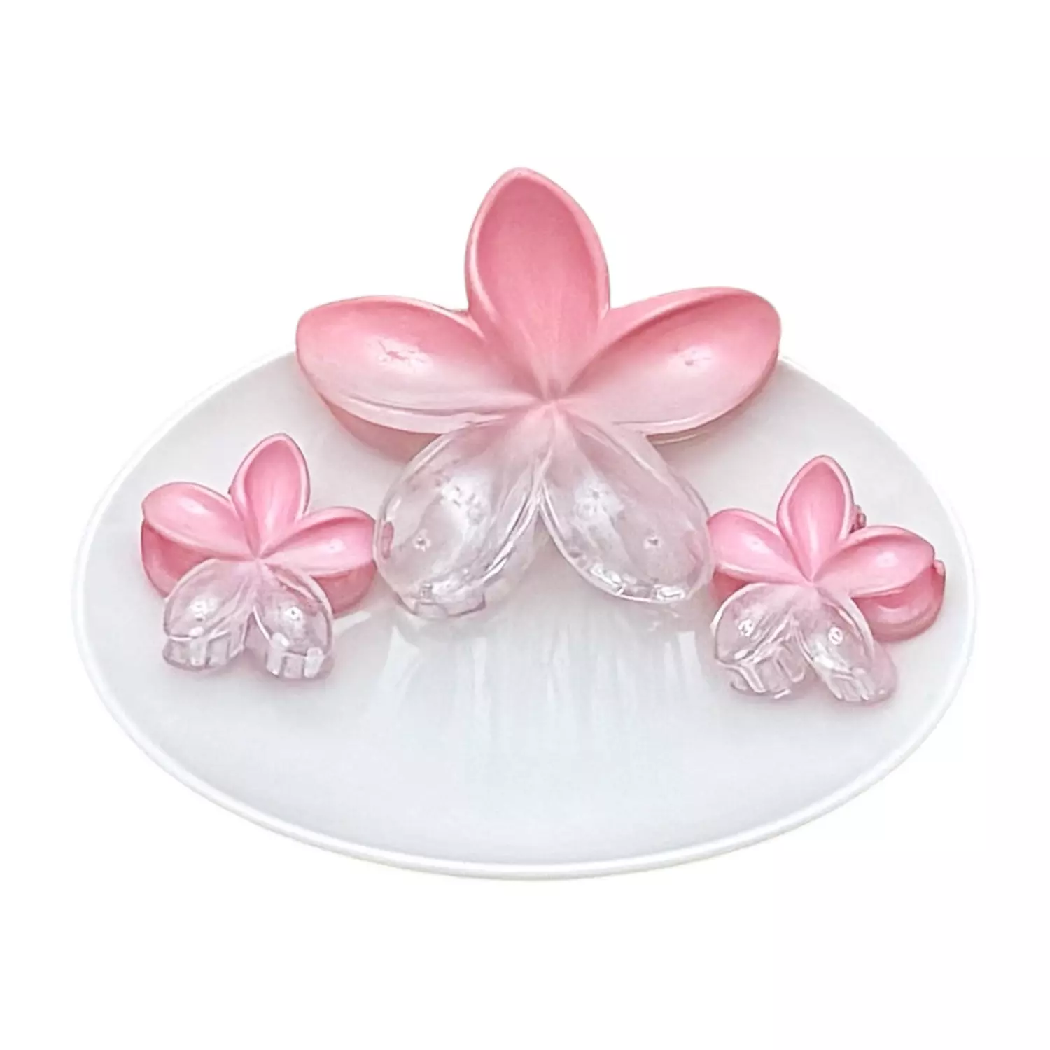 3 Pc Light Pink See-Thru Set image
