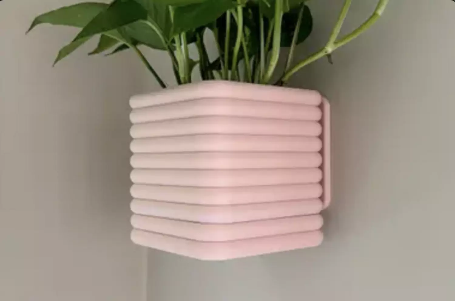 Square Wall Planter - The Poppy image