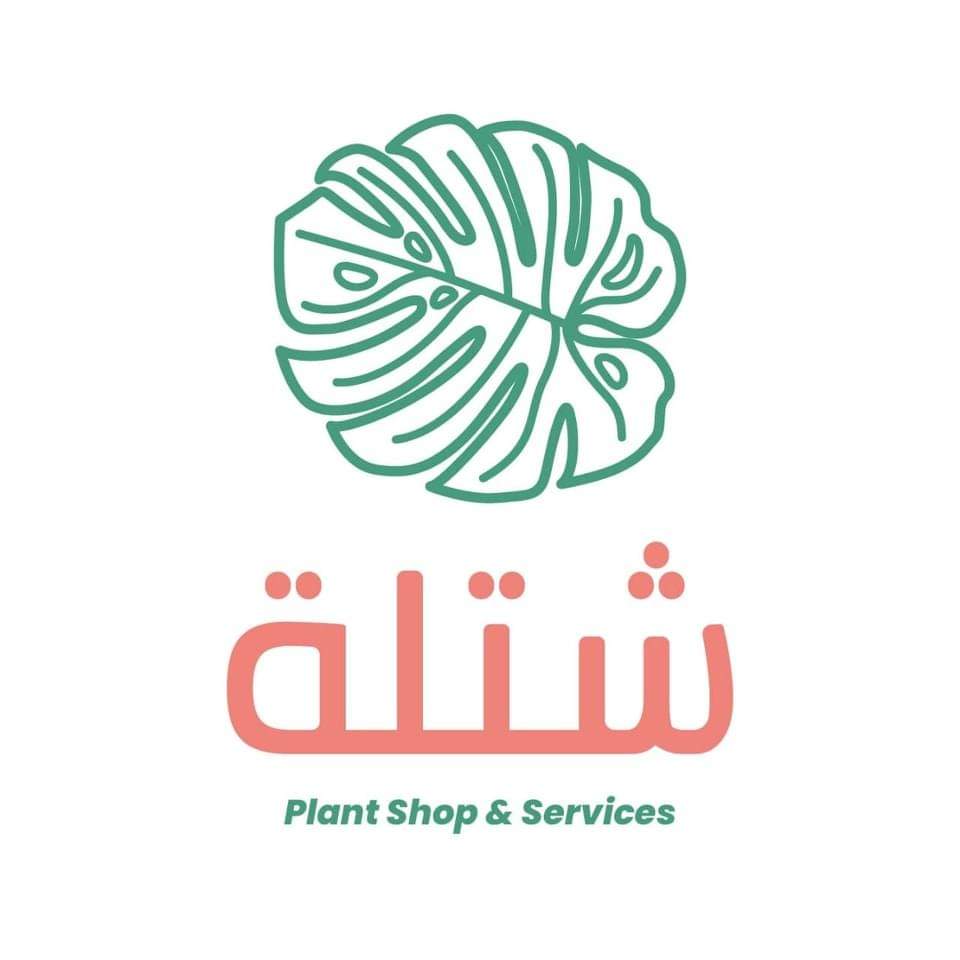شتلة