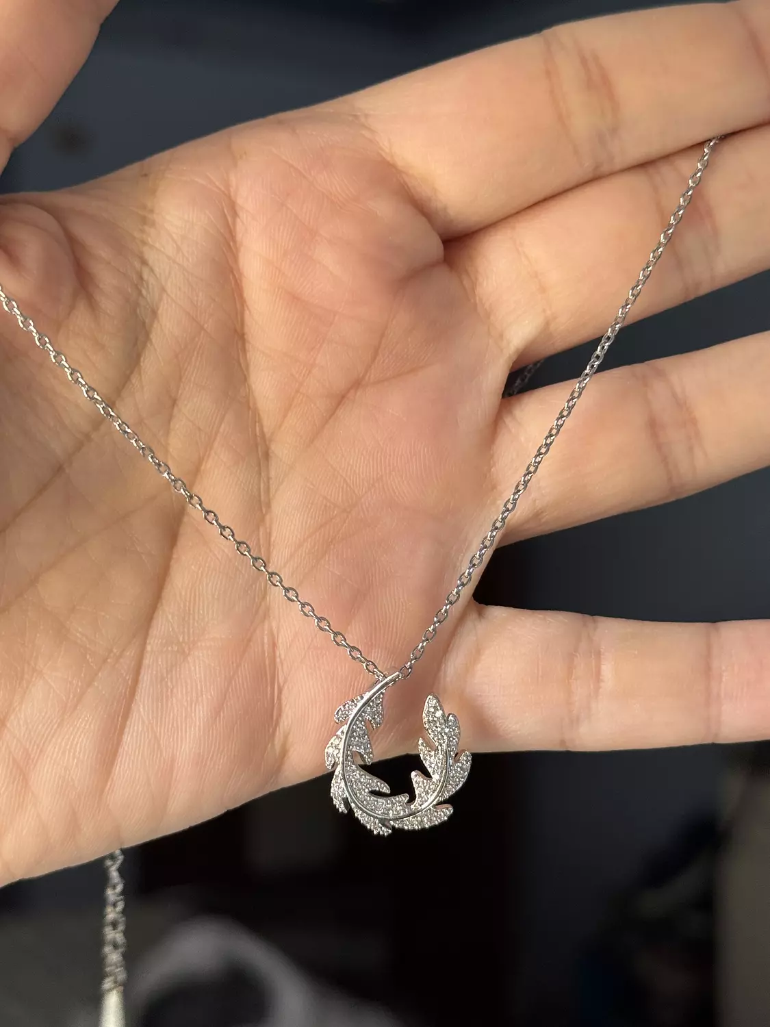 Stainless Steel Silver Necklace ( Stock ) 4