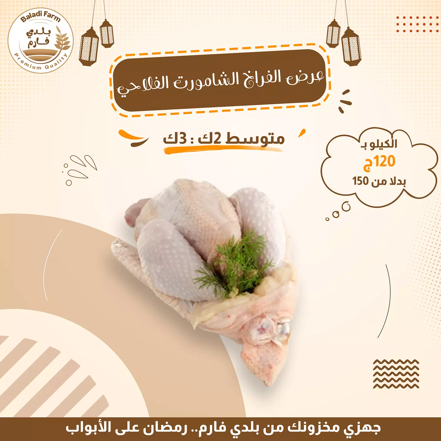 فراخ بلدي  image