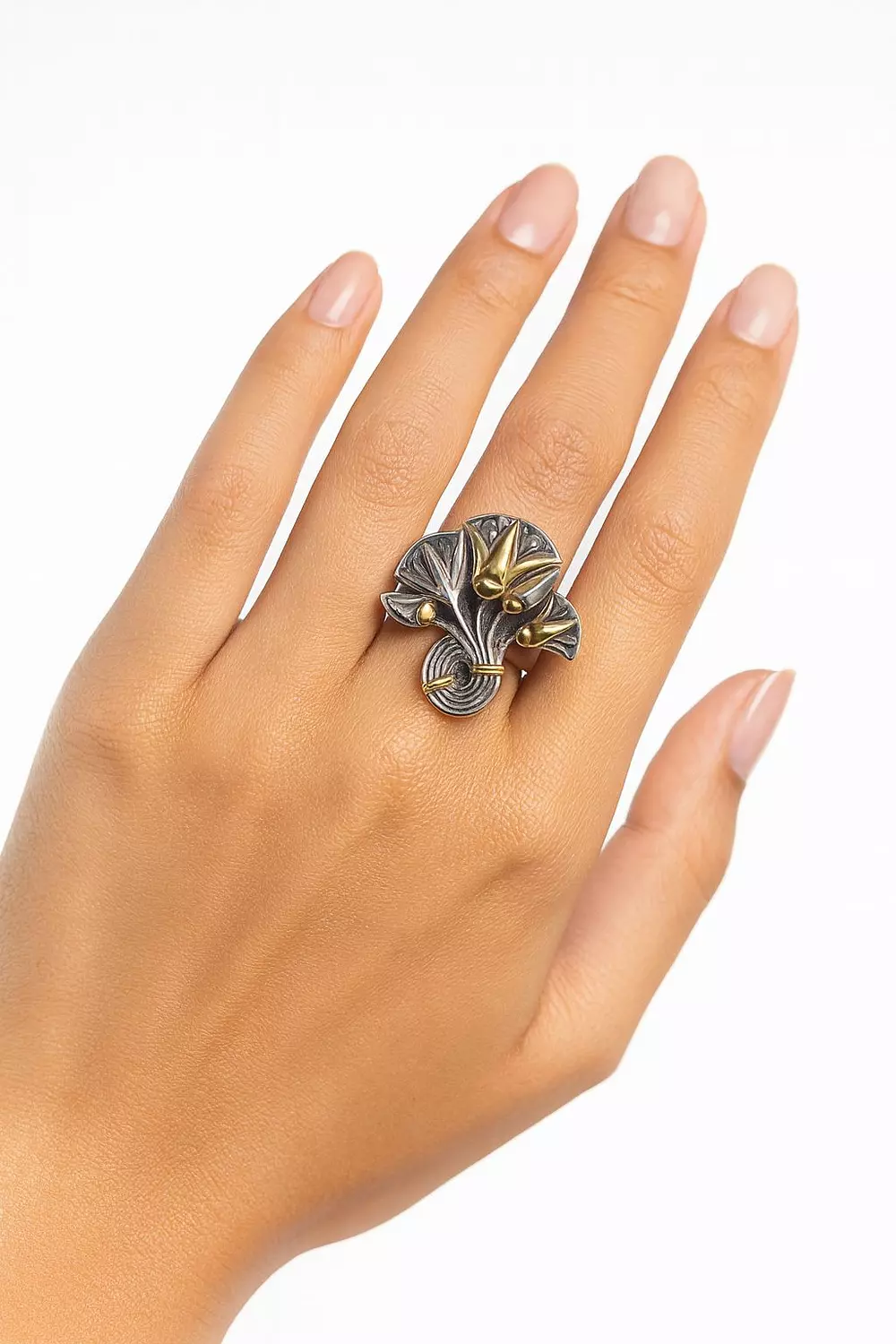 Silver Ring Louts image