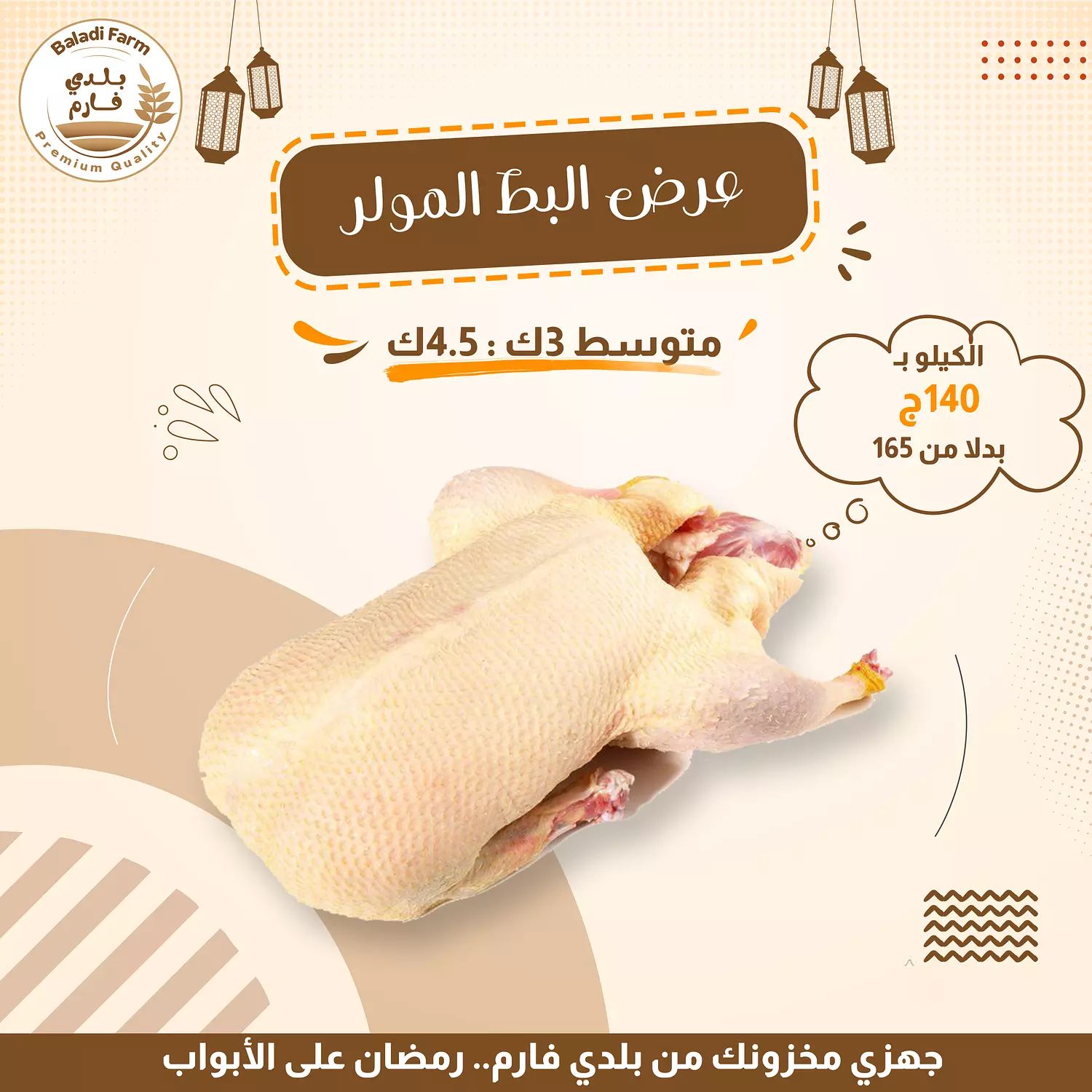 بط مولر  image