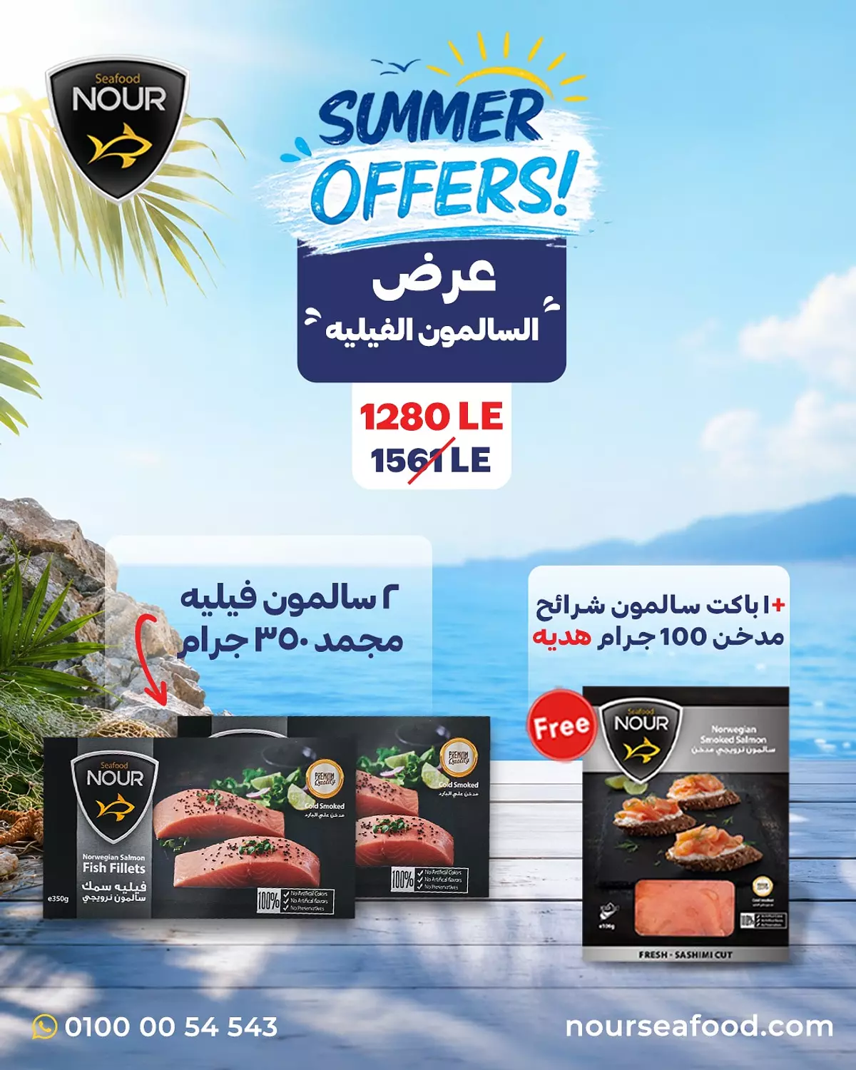 Frozen Norwegian Salmon Fillet Offer image