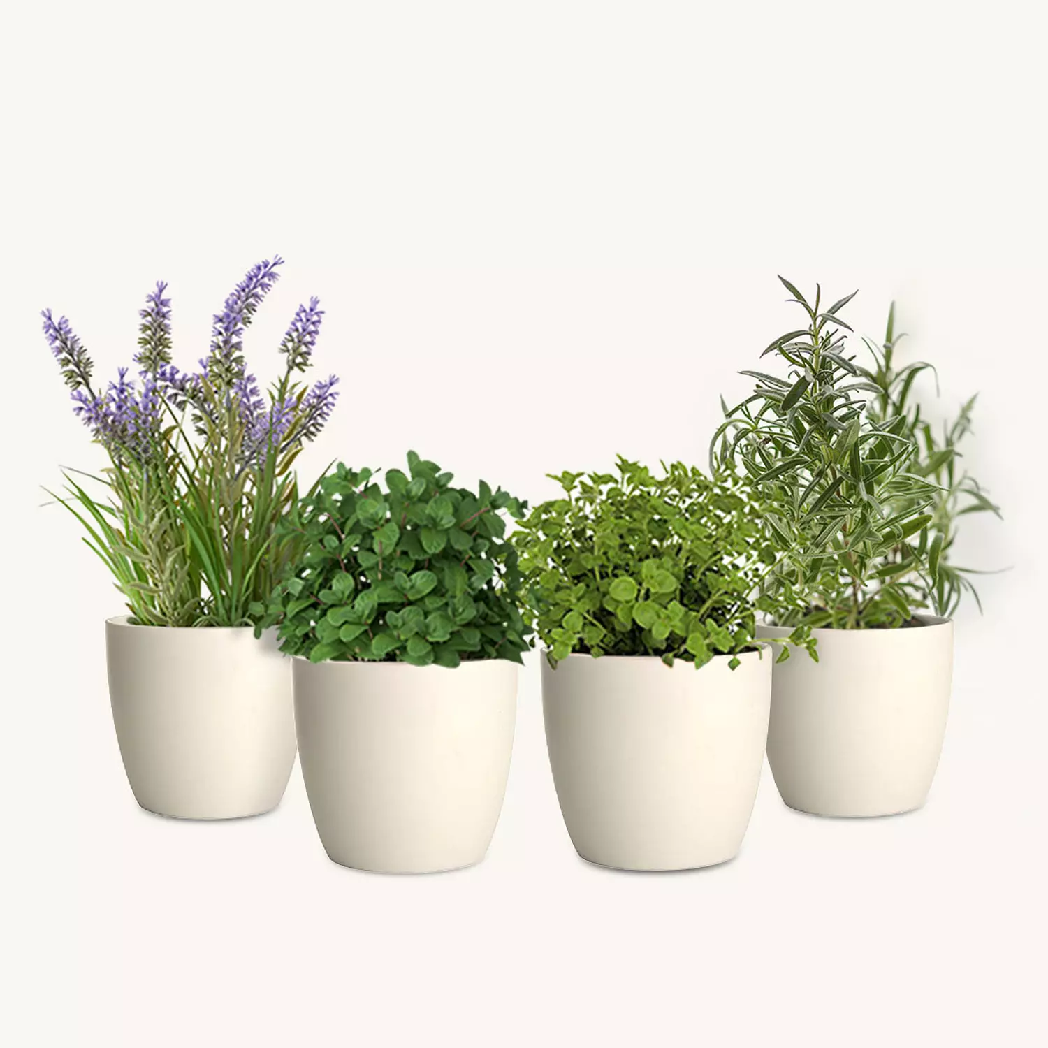 Mix & Match Herb Pots image