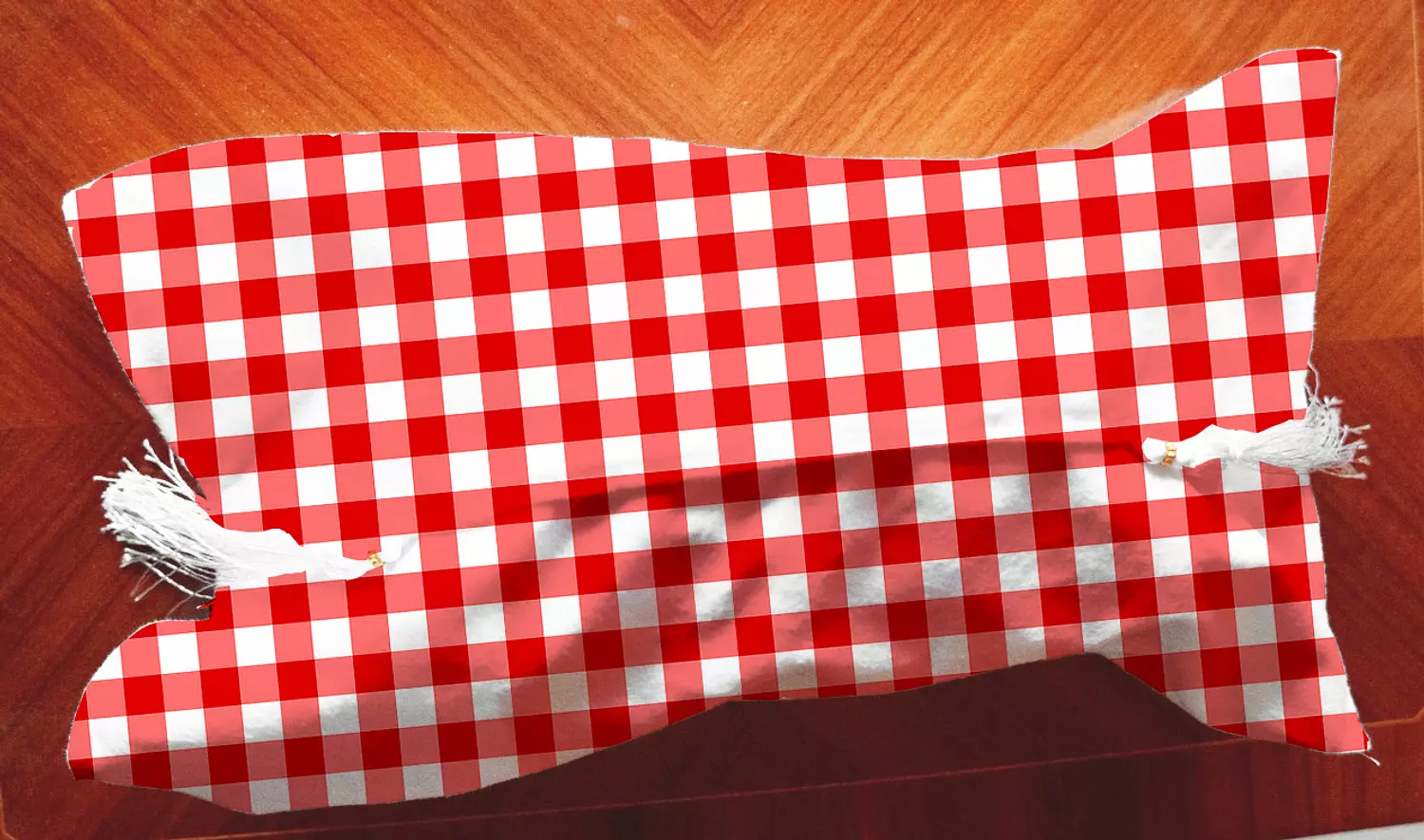 Tissue Cover  - Checked Design - Red and White Colors  image