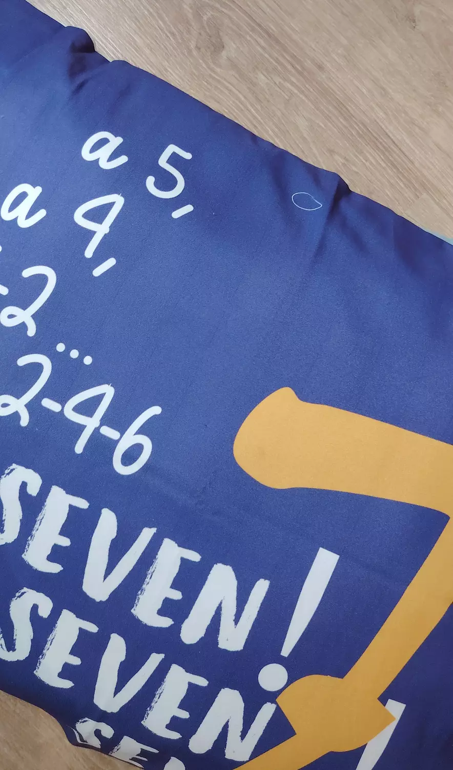 F.R.I.E.N.D.S 7,7 pillow case  1