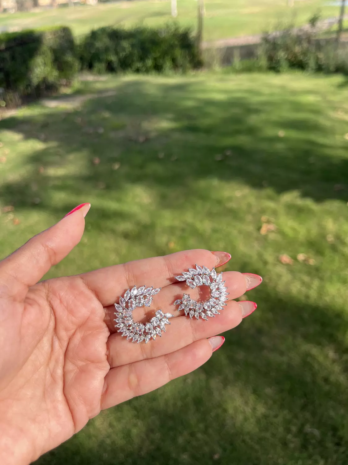 Half circle zircon earrings image